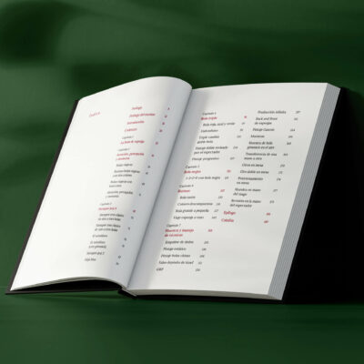 Índice de Reballution de Gabriel Gascón